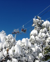 Borovets