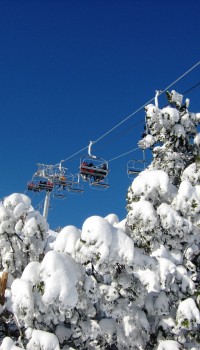 Borovets