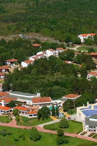 Obzor