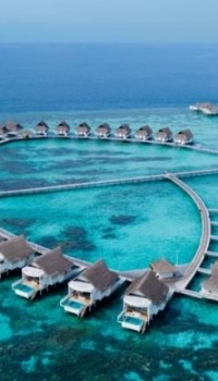 Maldive