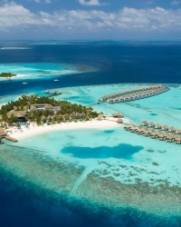 Maldive