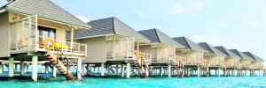 Maldive