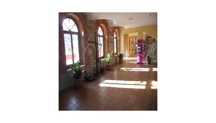 Ath Hotel Ribera Del Duero poza 2