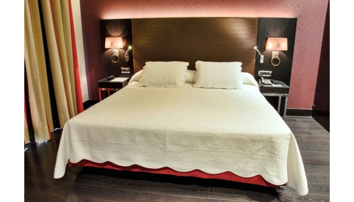 Domus Selecta Hotel Boutique Gareus poza 0