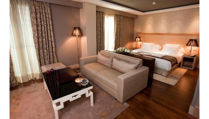 Nexus Valladolid Suites & Hotel - Valladolid poza 7