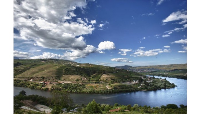 Delfim Douro Hotel poza 3