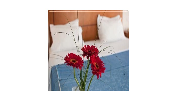 Hotel Nelas Parq poza 11