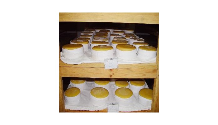 Hotel Nelas Parq poza 7