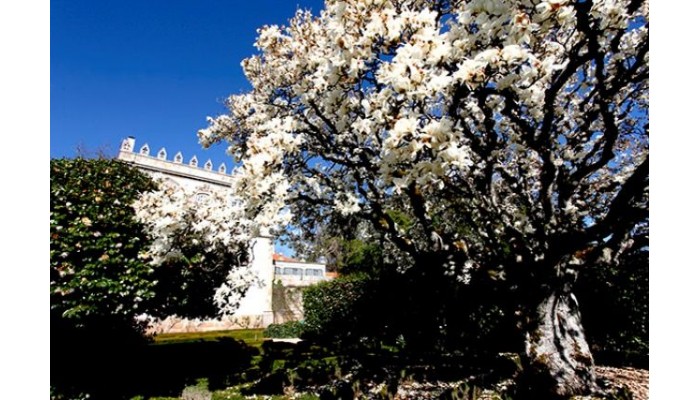 Hotel Parador Casa Da Insua poza 3