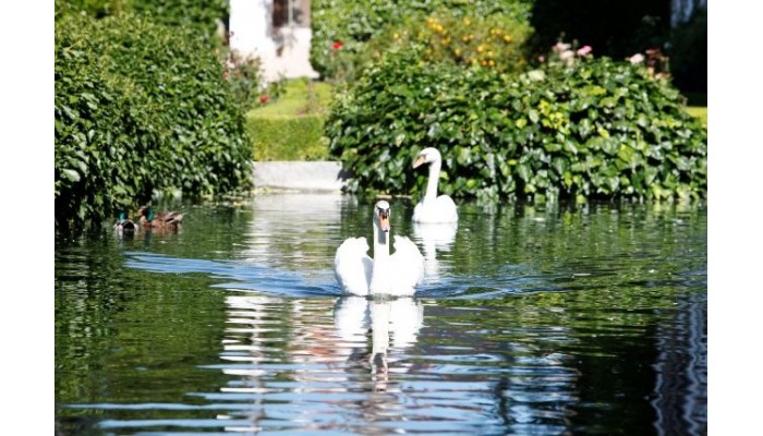 Hotel Parador Casa Da Insua poza 4