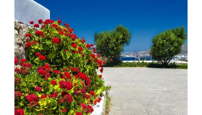 Hotel Charissi poza 32