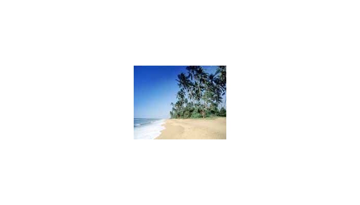 Poza pentru Hibiscus Beach Hotel And Villa 99-1455280649 Hibiscus Beach Hotel And Villa poza 4