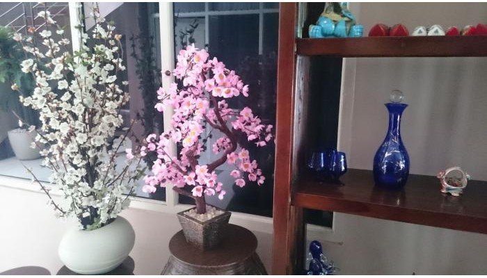 Hotel Novatel Yogyakarta poza 1