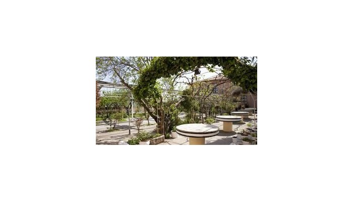 Hotel Casa Aurelia poza 8