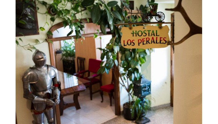 Hotel Los Perales poza 1