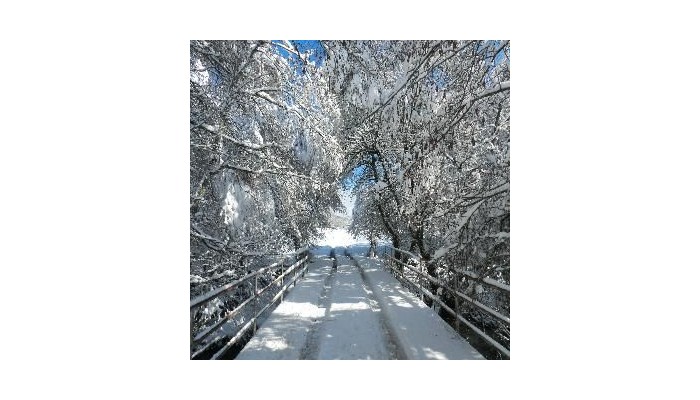 Hotel Posada Real La Pascasia poza 5