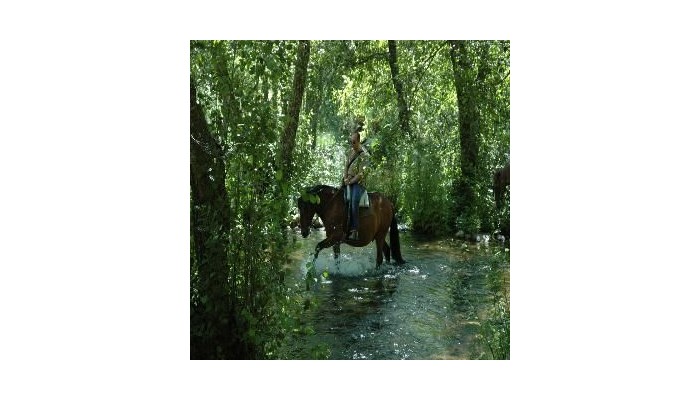 Hotel Posada Real La Pascasia poza 4