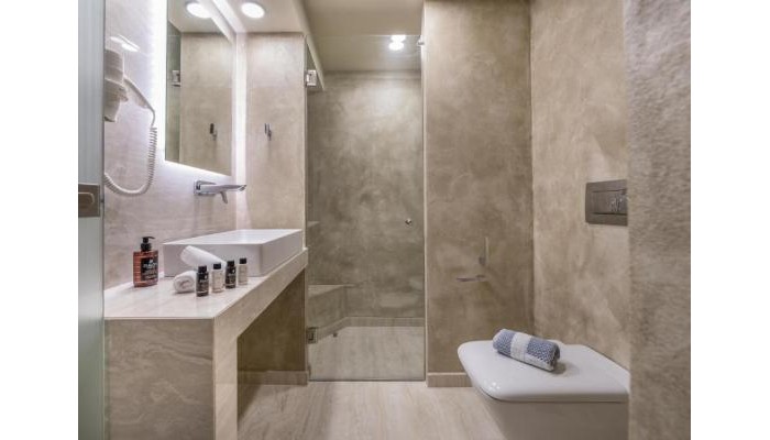 Hotel Phoenix poza 13