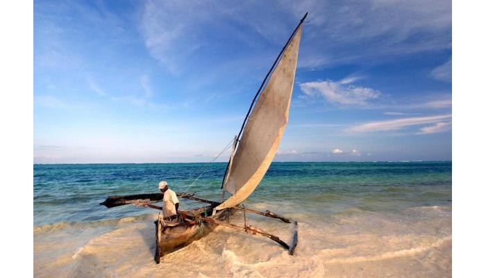 Hotel The Palms Zanzibar (Bwejuu) poza 9
