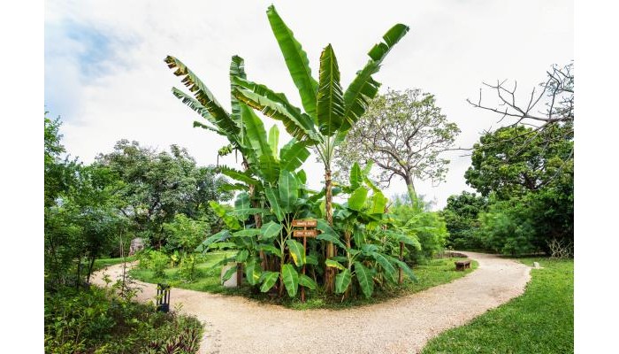 Hotel Zuri Zanzibar (Kendwa) poza 37