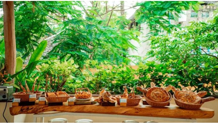 Kae Beach Zanzibar Resort (Michamvi) poza 13